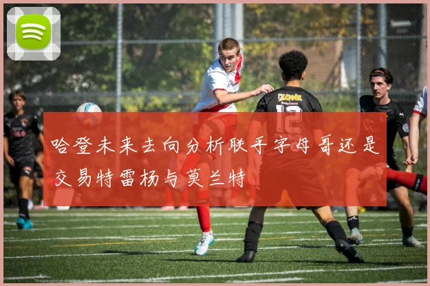 哈登未来去向分析联手字母哥还是交易特雷杨与莫兰特