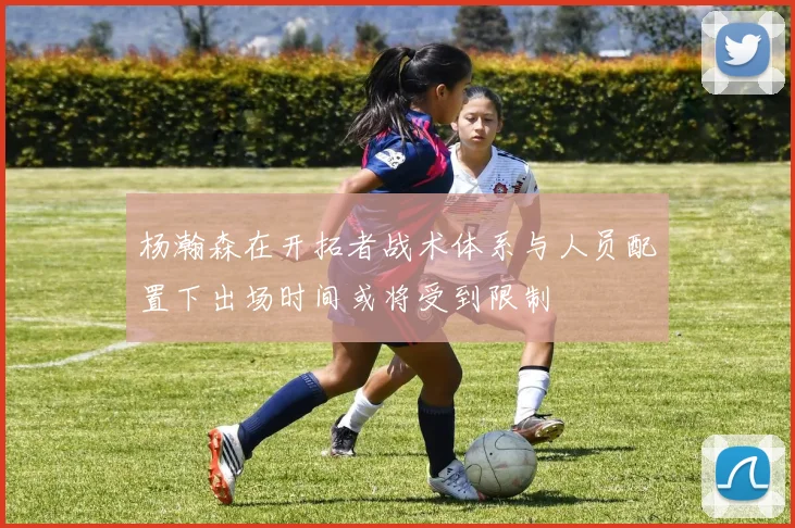 杨瀚森在开拓者战术体系与人员配置下出场时间或将受到限制